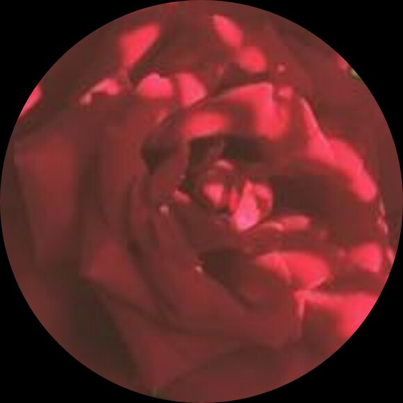 flowerforsale